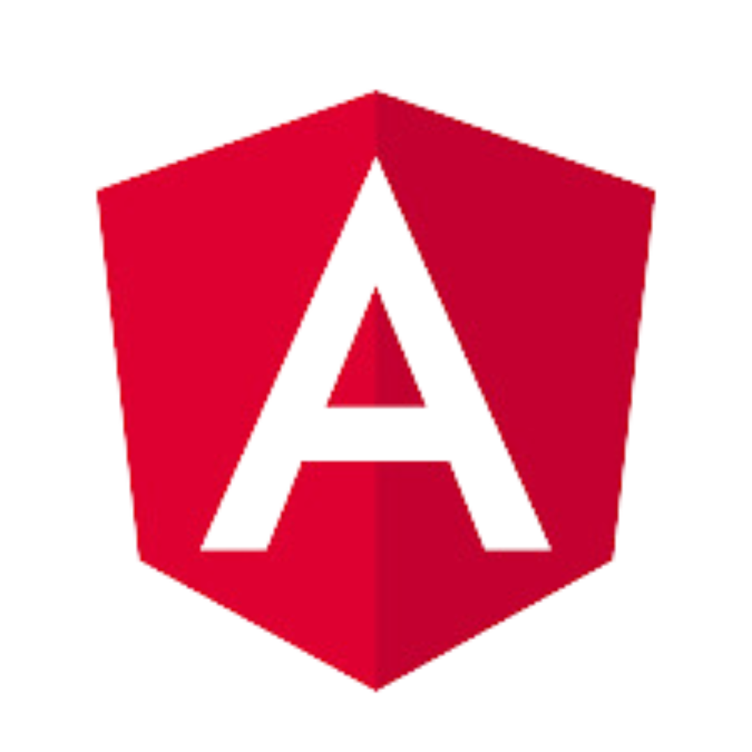 Angular Developer Course Training Institute in Mumbai.